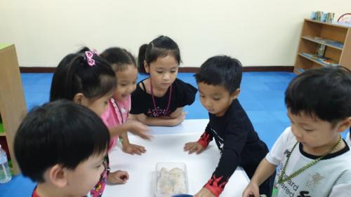 ห้อง7,8 (31062)ฝึกงานตามหน่วยงานต่างๆ ในสวนดุสิ 18