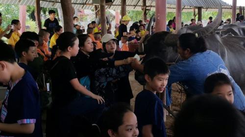 ป.4บ้านควาย ๑๙๐๘๓๐ 0019