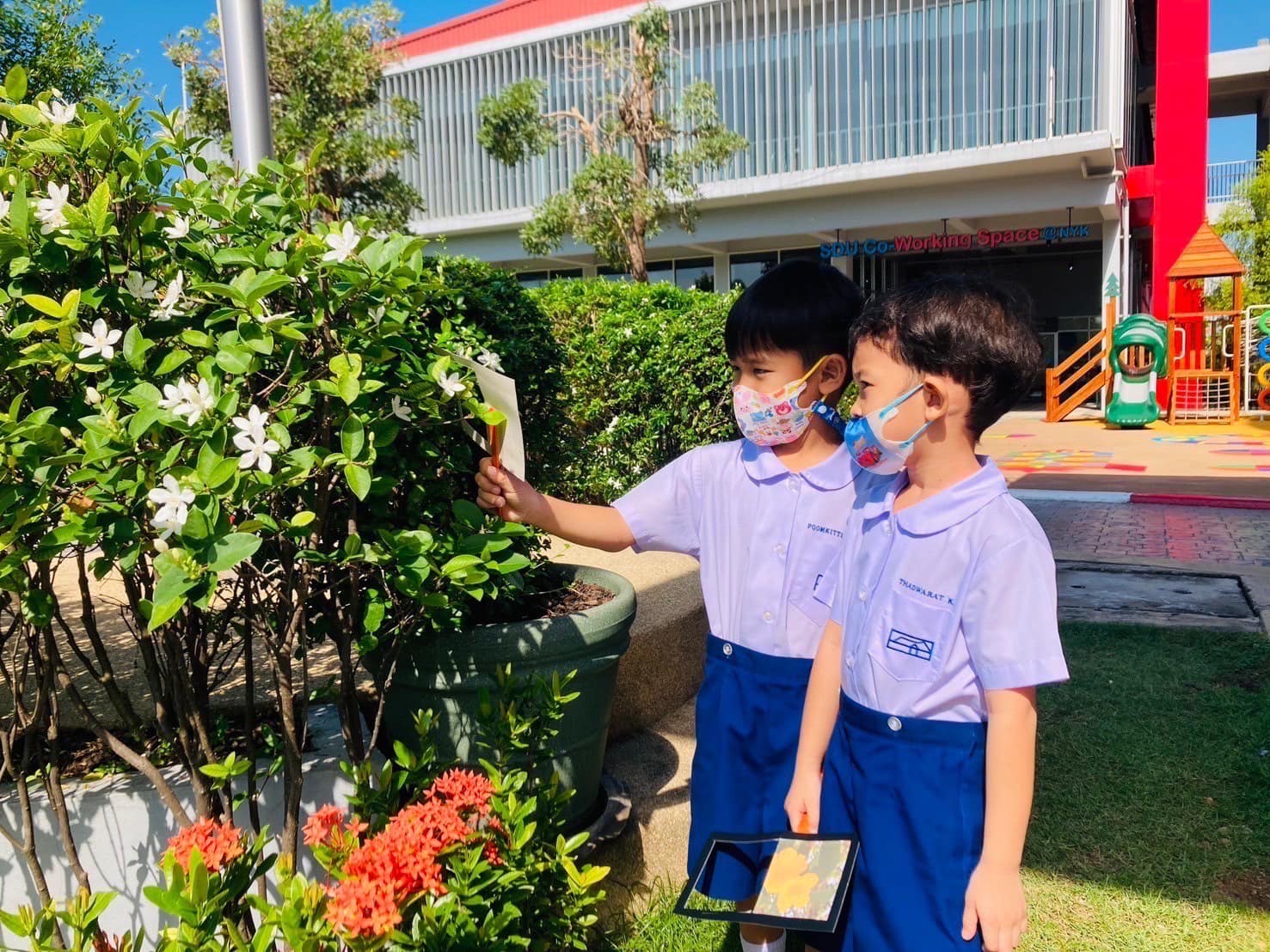 Flowers Around the School ( nakhon nayok )