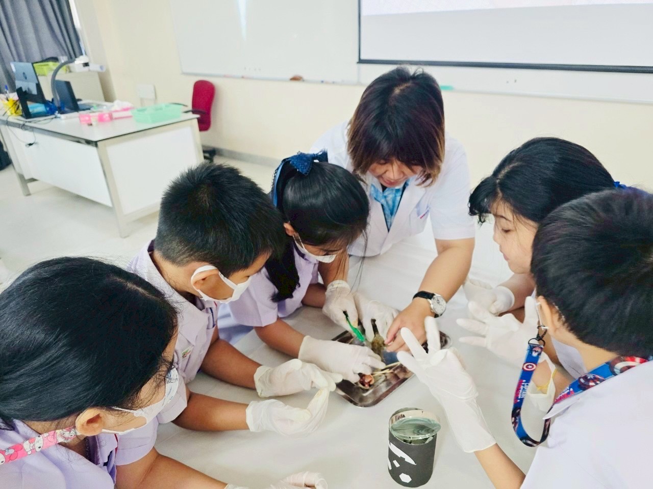 Animal classification 🔪🦞🦪 (นครนายก)