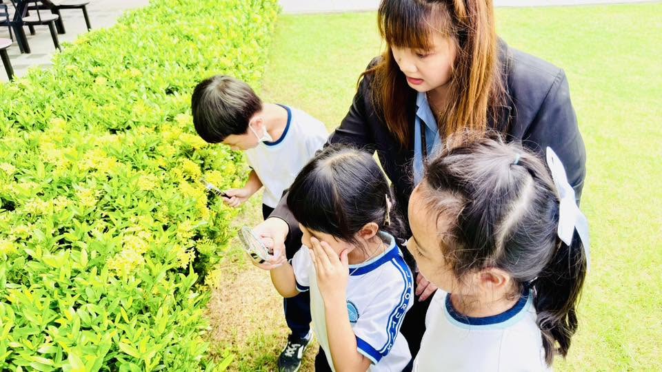 🌴เพราะการเรียนรู้ที่ดีที่สุด…เริ่มต้นจากสิ่งรอบตัว 🔎✨
