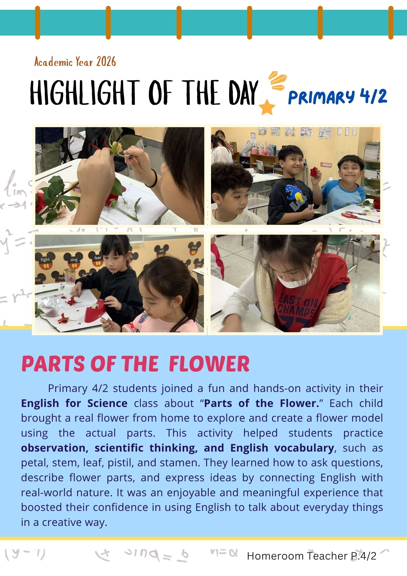 HIGHLIGHT OF THE DAY PARTS OF THE FLOWER