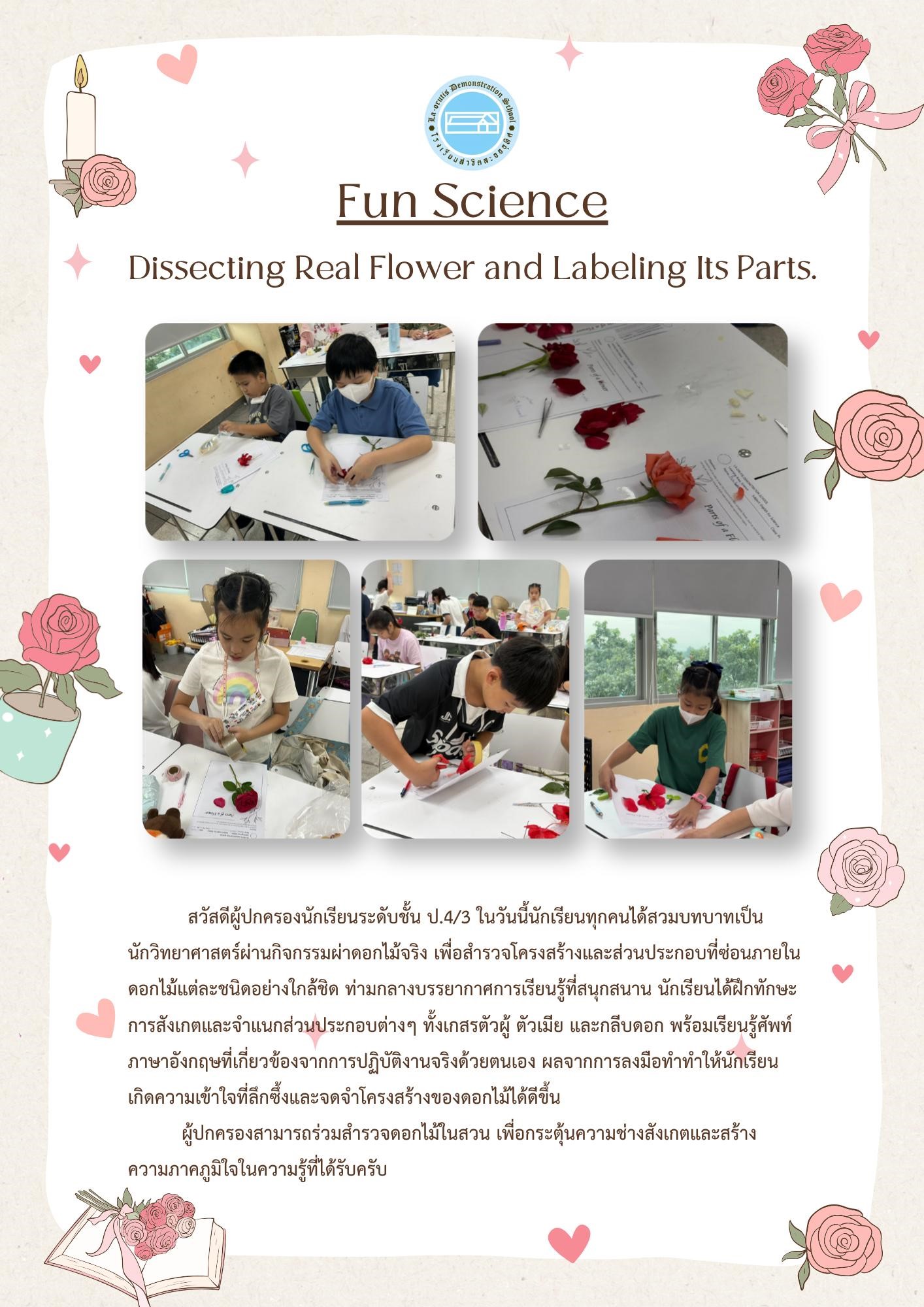 Fun Science Dissecting Real Flower and Labeling Its Parts.